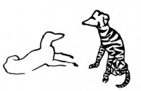 http://www.austrohungaro.com/ballesteros/files/gimgs/th-10_10_disfrazdetigredibujo.jpg