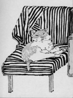 http://www.austrohungaro.com/ballesteros/files/gimgs/th-10_10_gatochino.jpg
