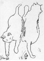http://www.austrohungaro.com/ballesteros/files/gimgs/th-10_10_siameses.jpg