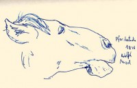 http://www.austrohungaro.com/ballesteros/files/gimgs/th-13_13_national01.jpg