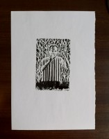 http://www.austrohungaro.com/ballesteros/files/gimgs/th-22_22_parejaotro.jpg