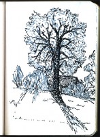http://www.austrohungaro.com/ballesteros/files/gimgs/th-25_25_arbre1.jpg