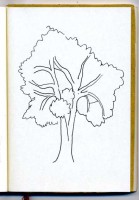 http://www.austrohungaro.com/ballesteros/files/gimgs/th-25_25_arbre2.jpg
