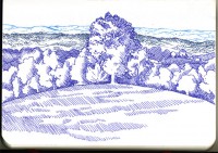 http://www.austrohungaro.com/ballesteros/files/gimgs/th-25_25_arbre3.jpg