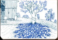http://www.austrohungaro.com/ballesteros/files/gimgs/th-25_25_arbre4.jpg