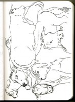 http://www.austrohungaro.com/ballesteros/files/gimgs/th-25_25_boeufs.jpg