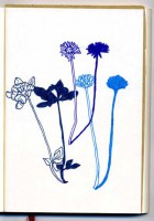 http://www.austrohungaro.com/ballesteros/files/gimgs/th-25_25_herbe-et-sombre1.jpg