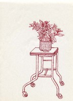 http://www.austrohungaro.com/ballesteros/files/gimgs/th-29_29_planta-y-carrito.jpg