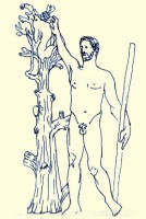 http://www.austrohungaro.com/ballesteros/files/gimgs/th-31_31_roma19.jpg
