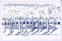 http://www.austrohungaro.com/ballesteros/files/gimgs/th-44_44_3.jpg