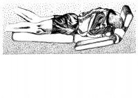 http://www.austrohungaro.com/ballesteros/files/gimgs/th-4_4_17.jpg